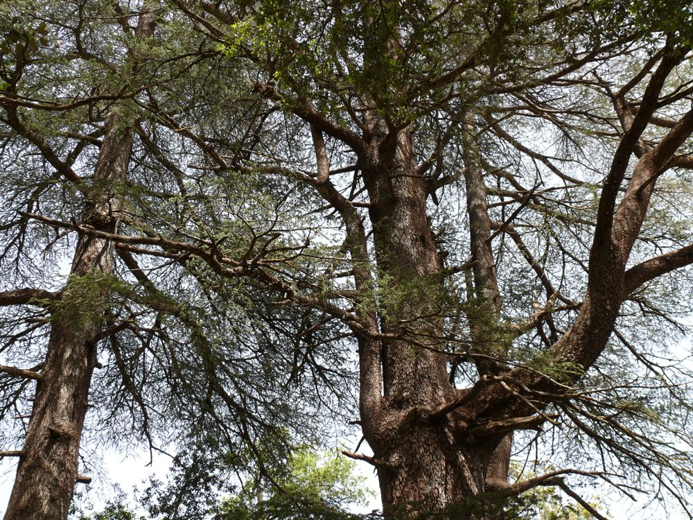 P1020929.JPG