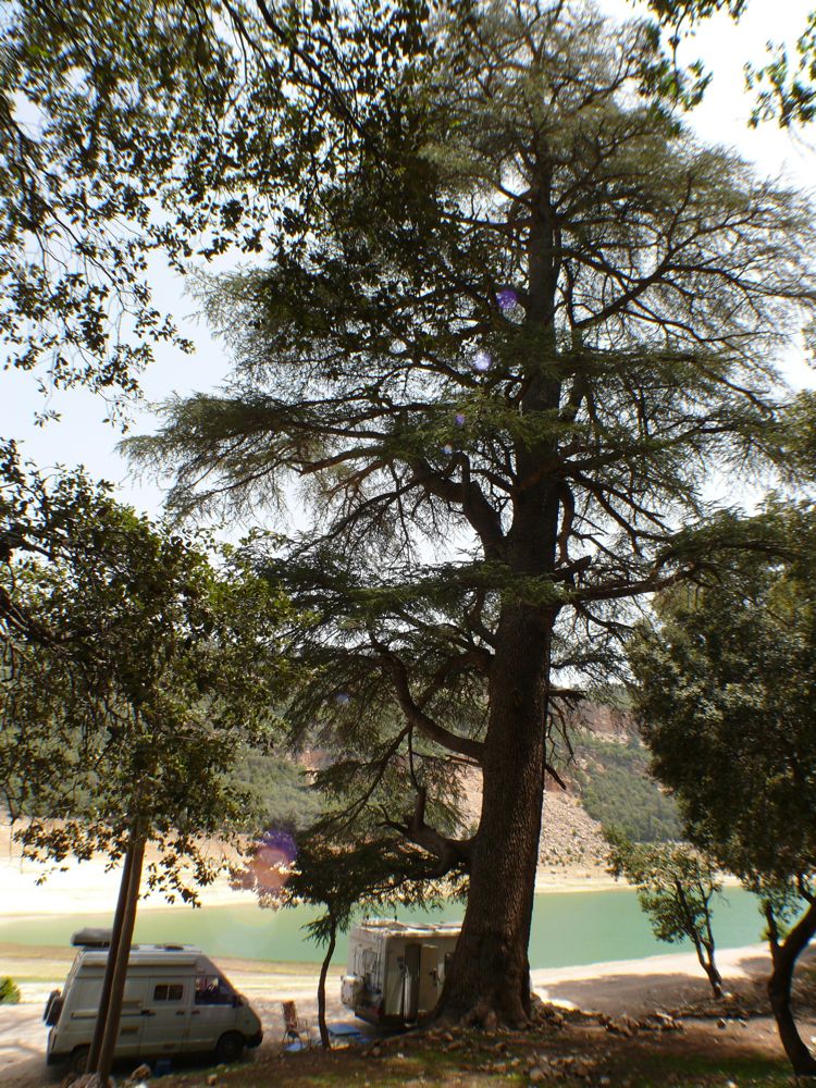 P1020936.JPG