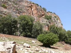 P1020954.JPG