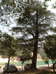 P1020936.JPG
