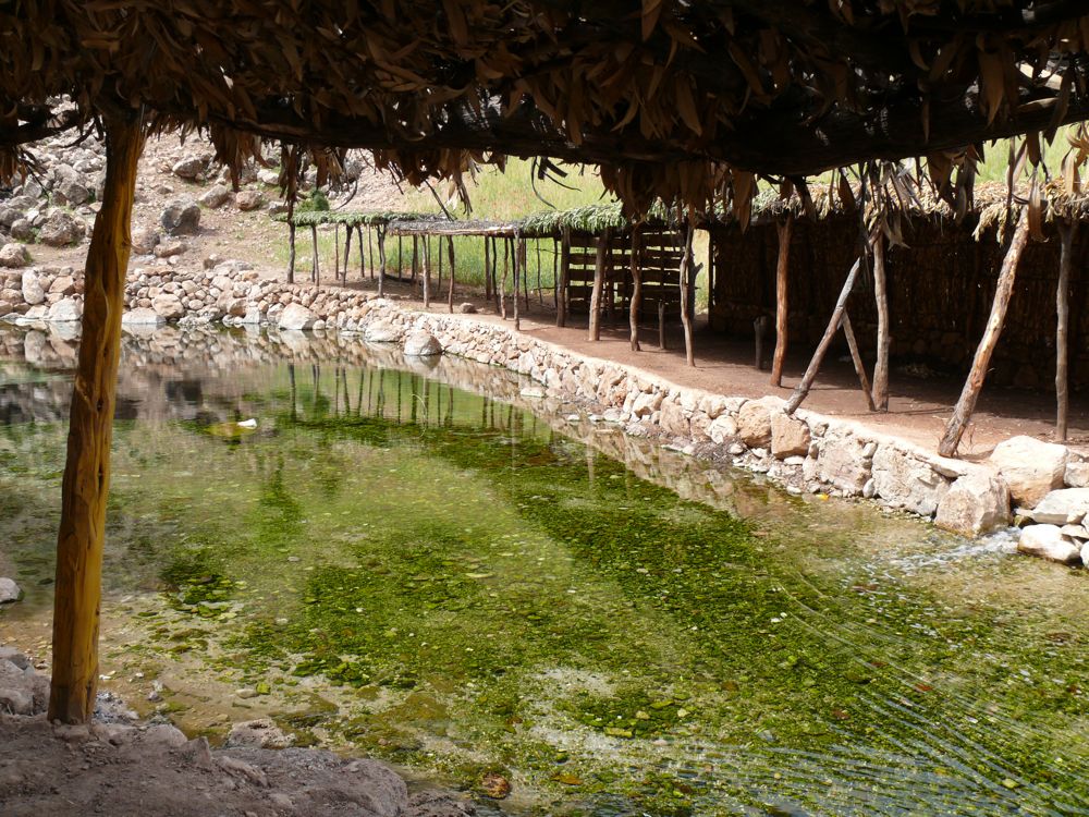 P1030013.JPG