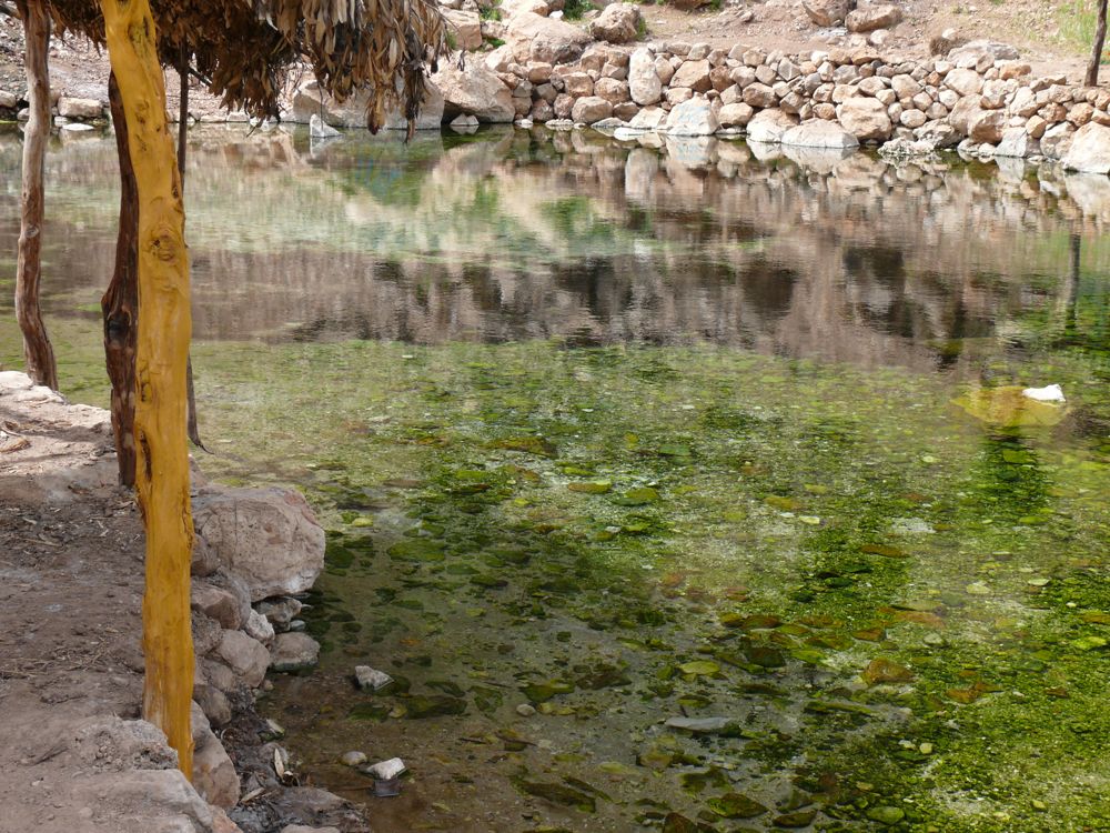 P1030014.JPG