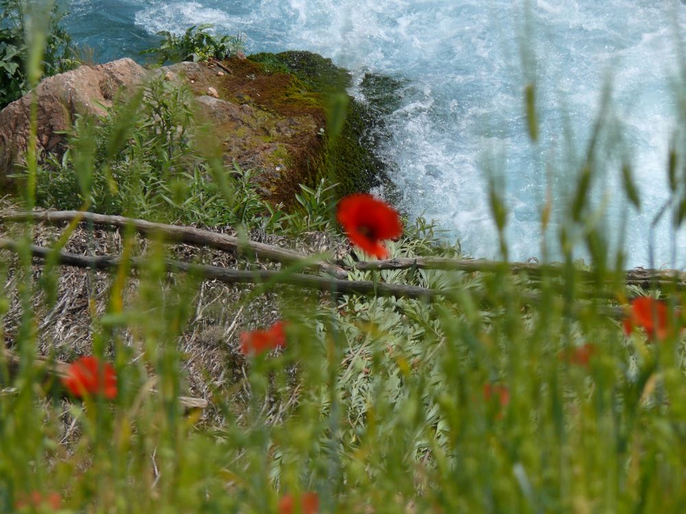 P1030017.JPG