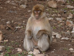 P1030003.JPG