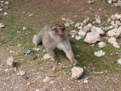 P1030005.JPG