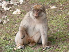 P1030006.JPG