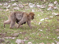 P1030008.JPG