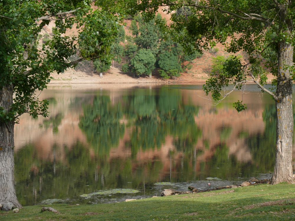 P1030047.JPG