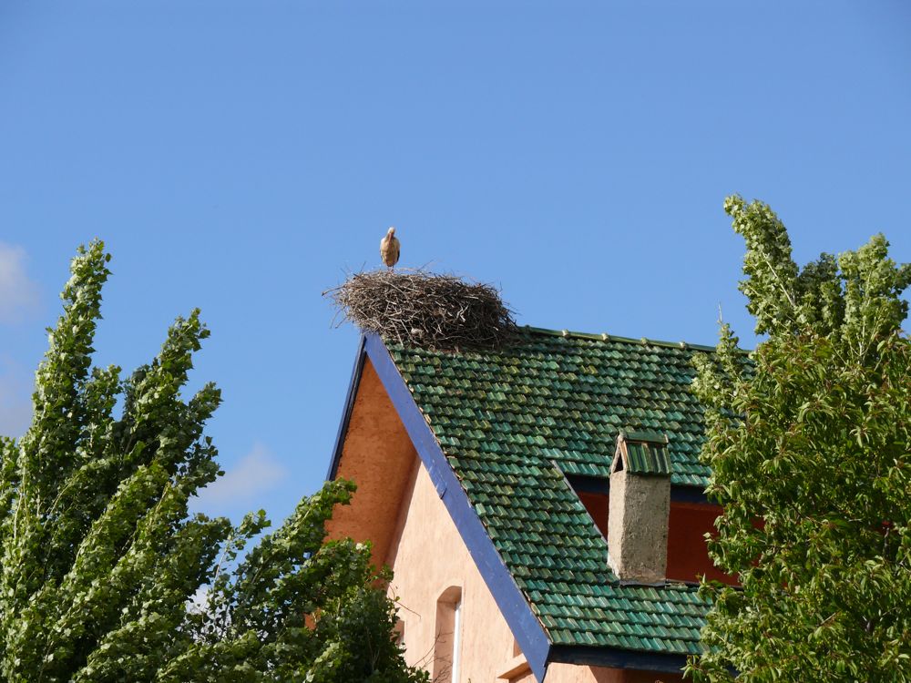 P1030066.JPG