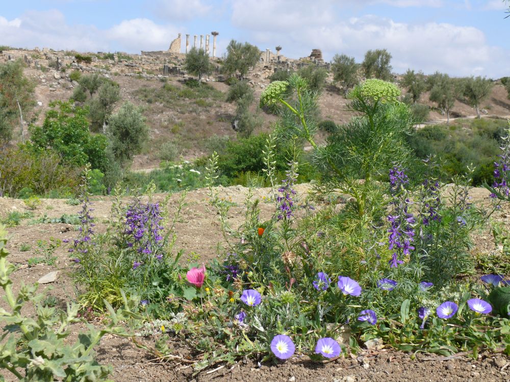 P1030156.JPG