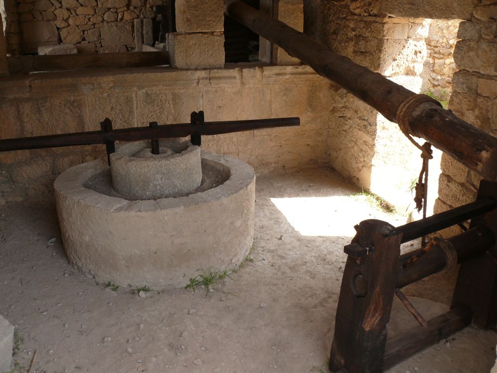 P1030170.JPG