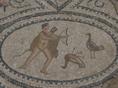 P1030199.JPG