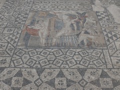 P1030217.JPG