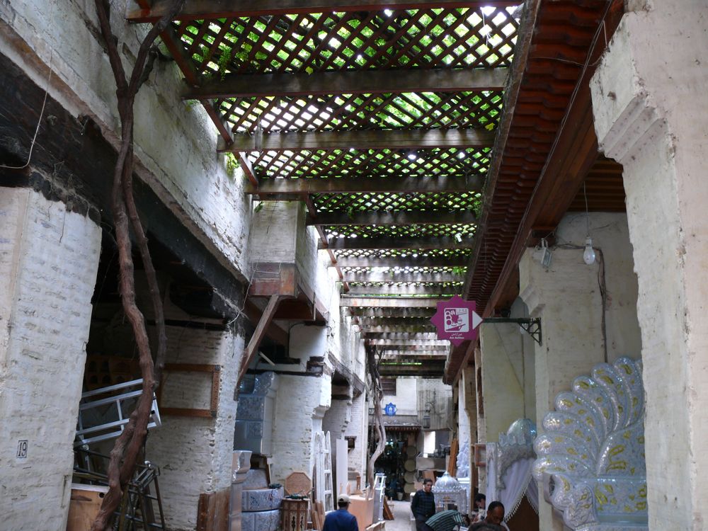 P1030291.JPG
