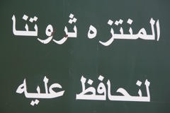 PICT3154.JPG