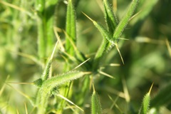 PICT3161.JPG