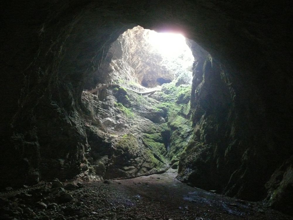 P1030390.JPG