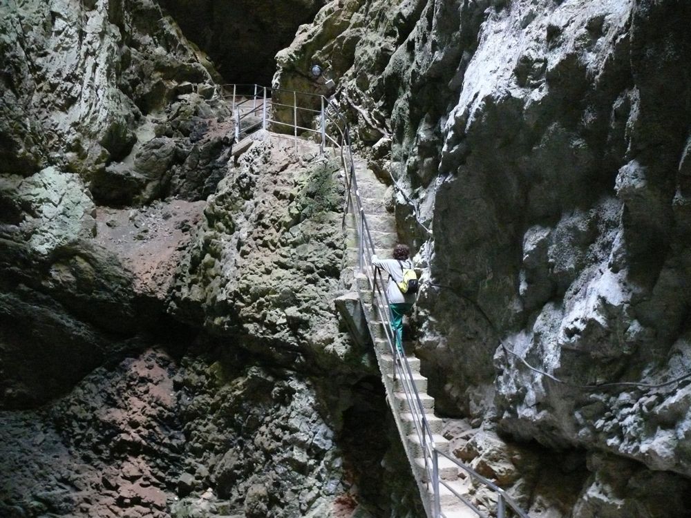P1030393.JPG