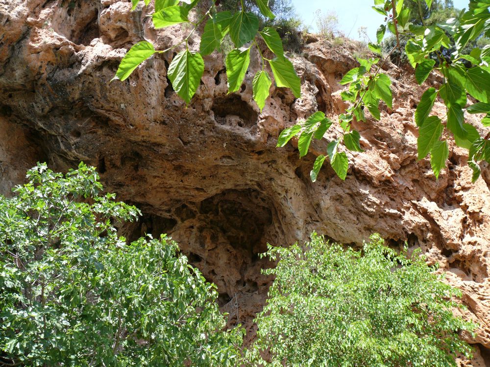 P1030410.JPG