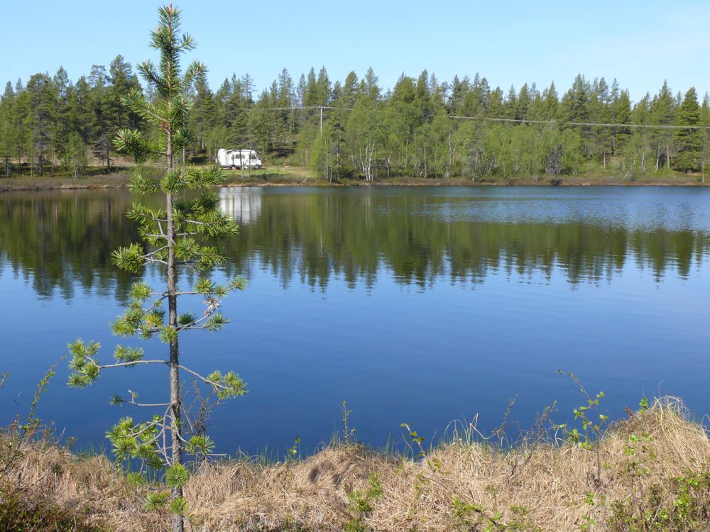 Finlande - Dernier bivouac au nord du lac Inari