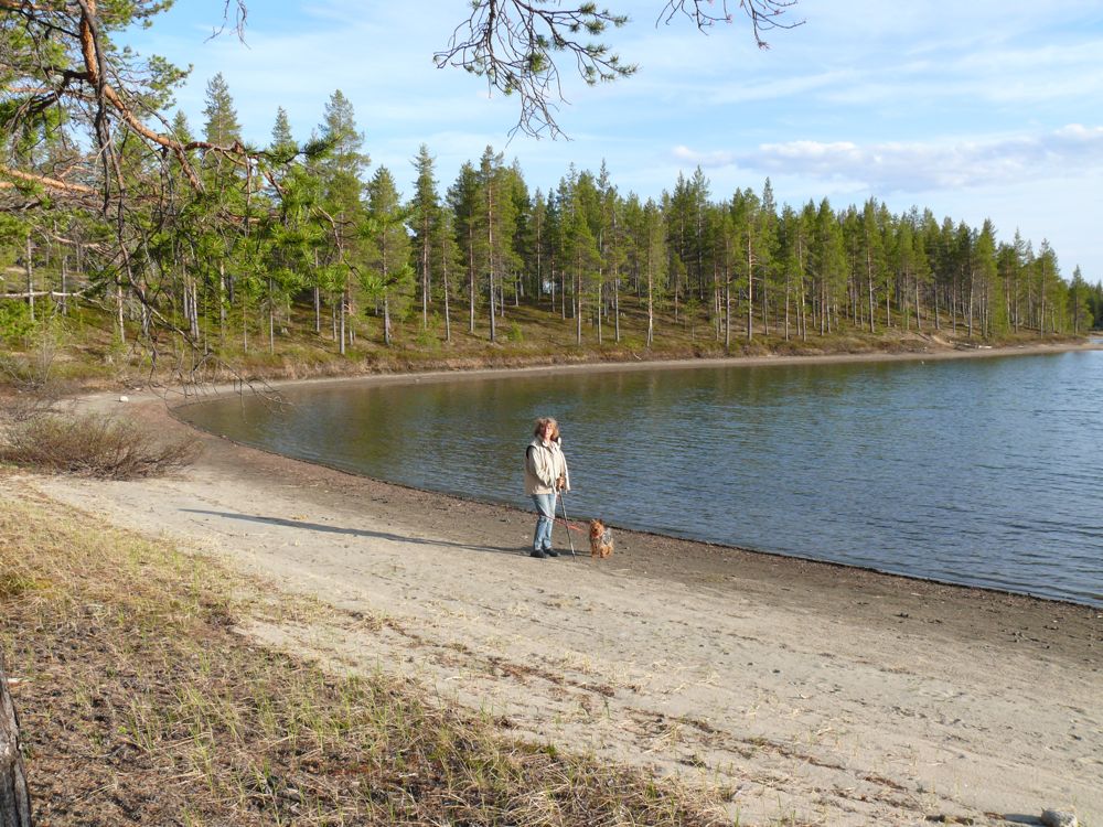 Finlande - Dernier bivouac au nord du lac Inari