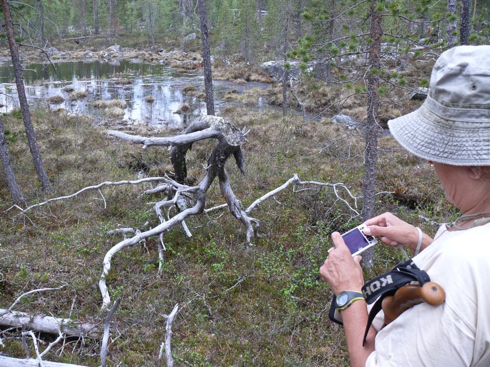 Finlande - Dernier bivouac au nord du lac Inari