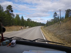 Finlande - Rennes