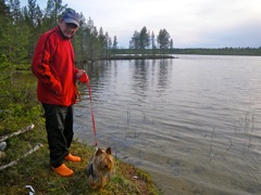 Finlande - Bivouac près de Lac Inari