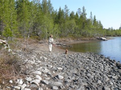 Finlande - Dernier bivouac au nord du lac Inari