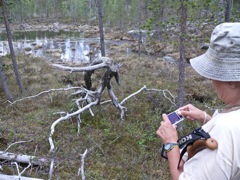 Finlande - Dernier bivouac au nord du lac Inari