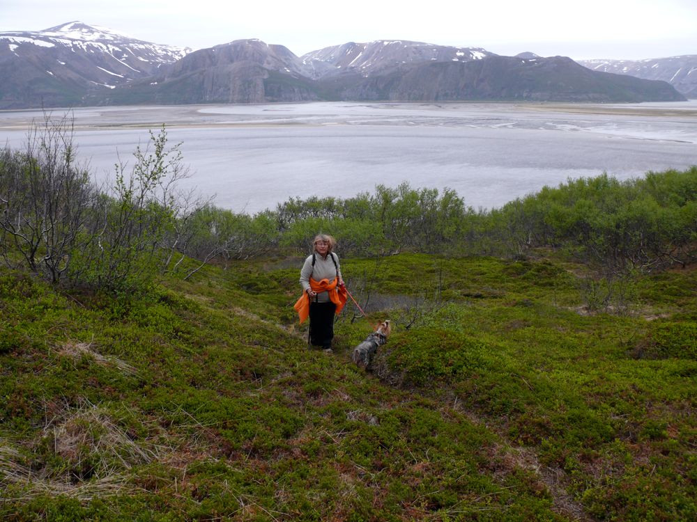 Norvège - balade à Gulholmen, rivière Tanabru