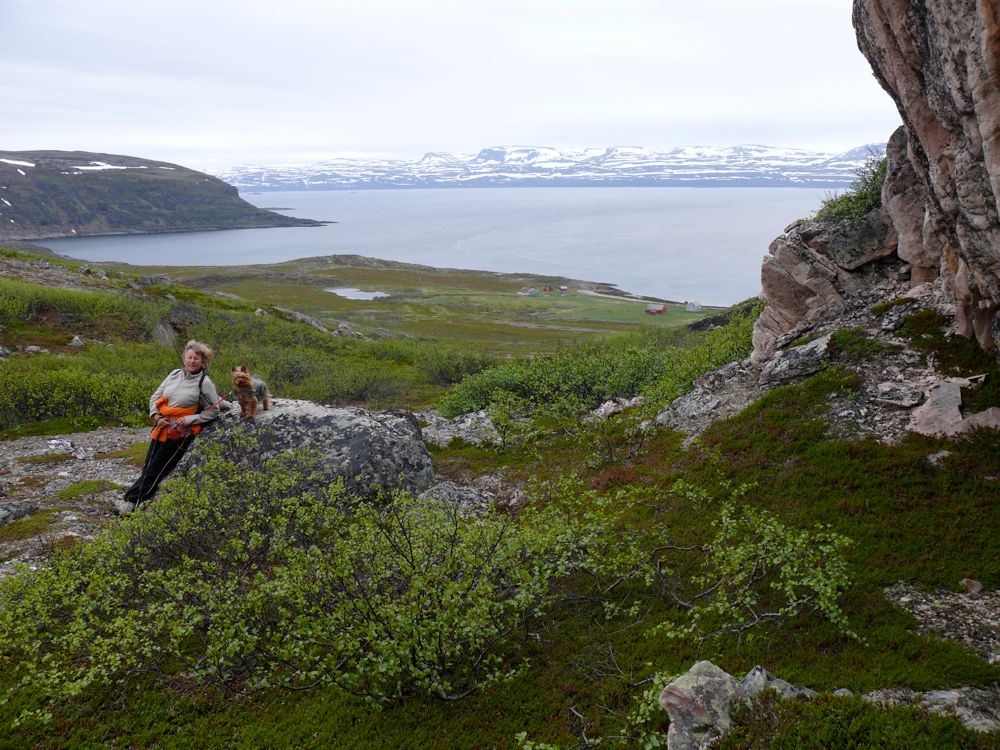Norvège - balade à Gulholmen, rivière Tanabru