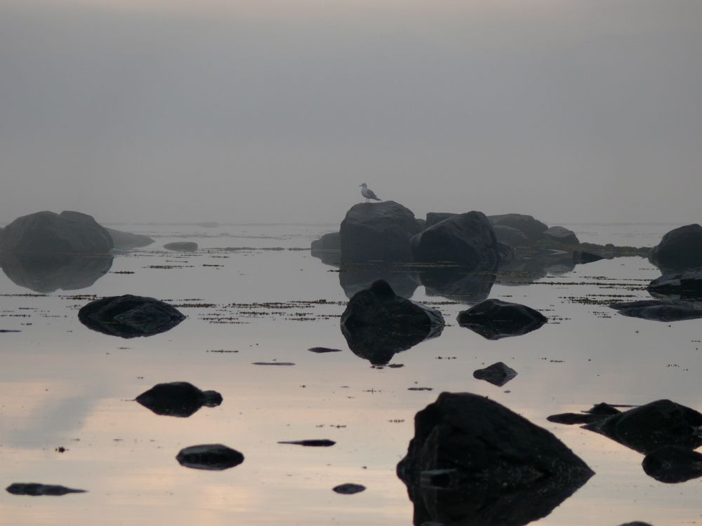 Norvège - Bivouac à Abelsborg