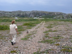 Norvège - entre Neiden et Tana sur l'E6