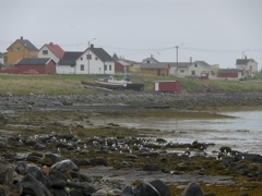 Norvège - Ekkeroy