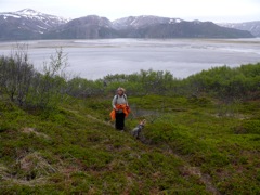 Norvège - balade à Gulholmen, rivière Tanabru