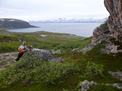 Norvège - balade à Gulholmen, rivière Tanabru
