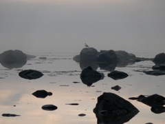 Norvège - Bivouac à Abelsborg