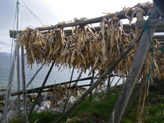 Norvège - Kilfjord - séchoir à morue