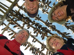Norvège - Kilfjord - séchoir à morue