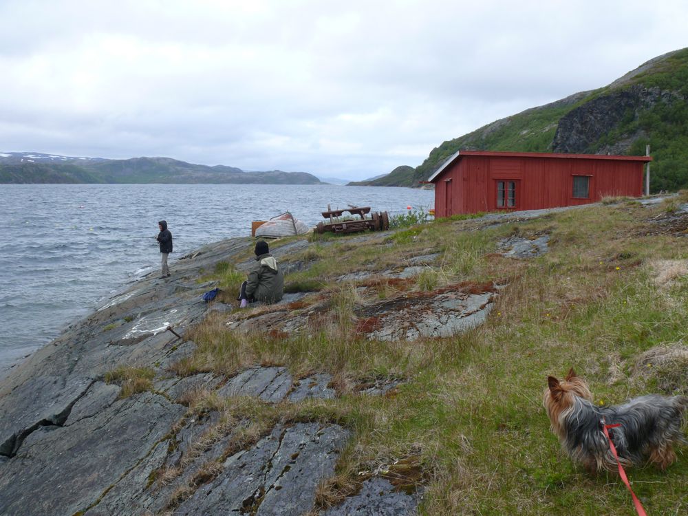 Norvège - sur la route de Borselv