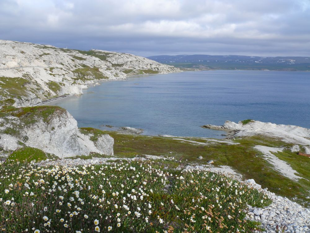 Norvège - sur la route de Borselv