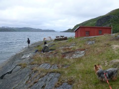 Norvège - sur la route de Borselv
