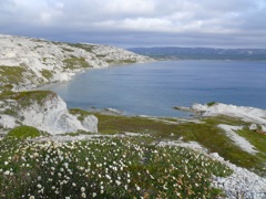 Norvège - sur la route de Borselv
