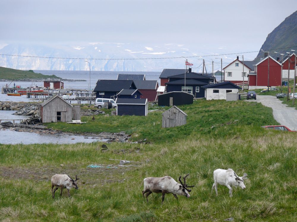 Norvège - sur la route du Cap Nord