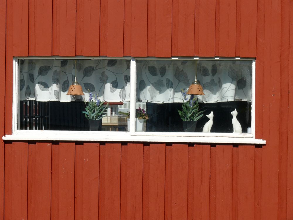 Norvège - Gjesvaer