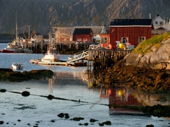 Norvège - Gjesvaer - Soleil de minuit