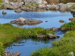 Norvège - Randonnée à Gjesvaer