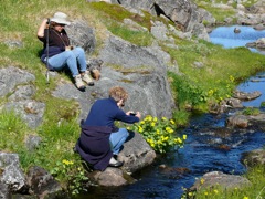 Norvège - Randonnée à Gjesvaer
