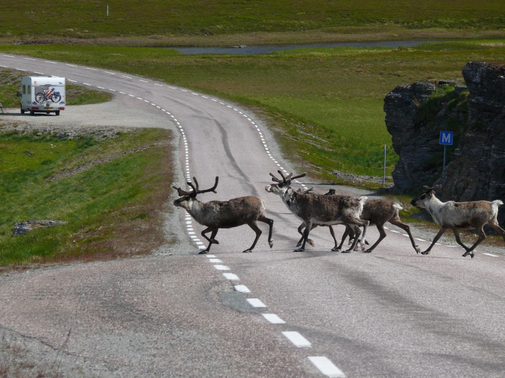 Norvège - sur la route d'Havoysund